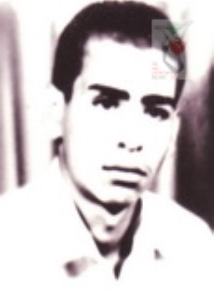 فاقد تصویر